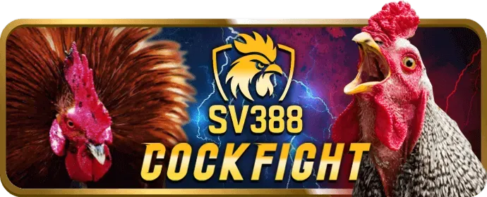 Chương trình hoàn trả cược hàng tuần của kjc game